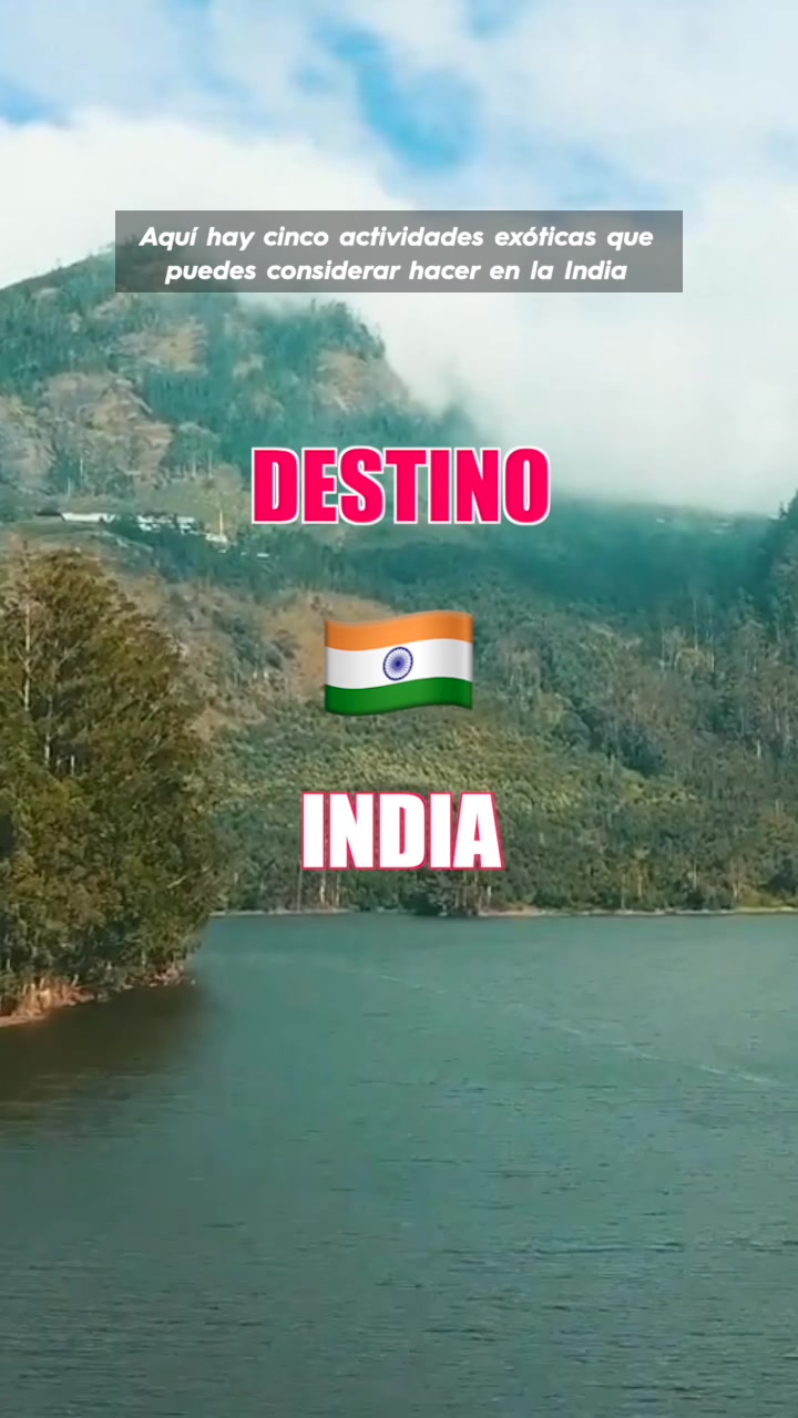 Aquí hay cinco actividades exóticas que puedes considerar hacer en la India DESTINO INDIA