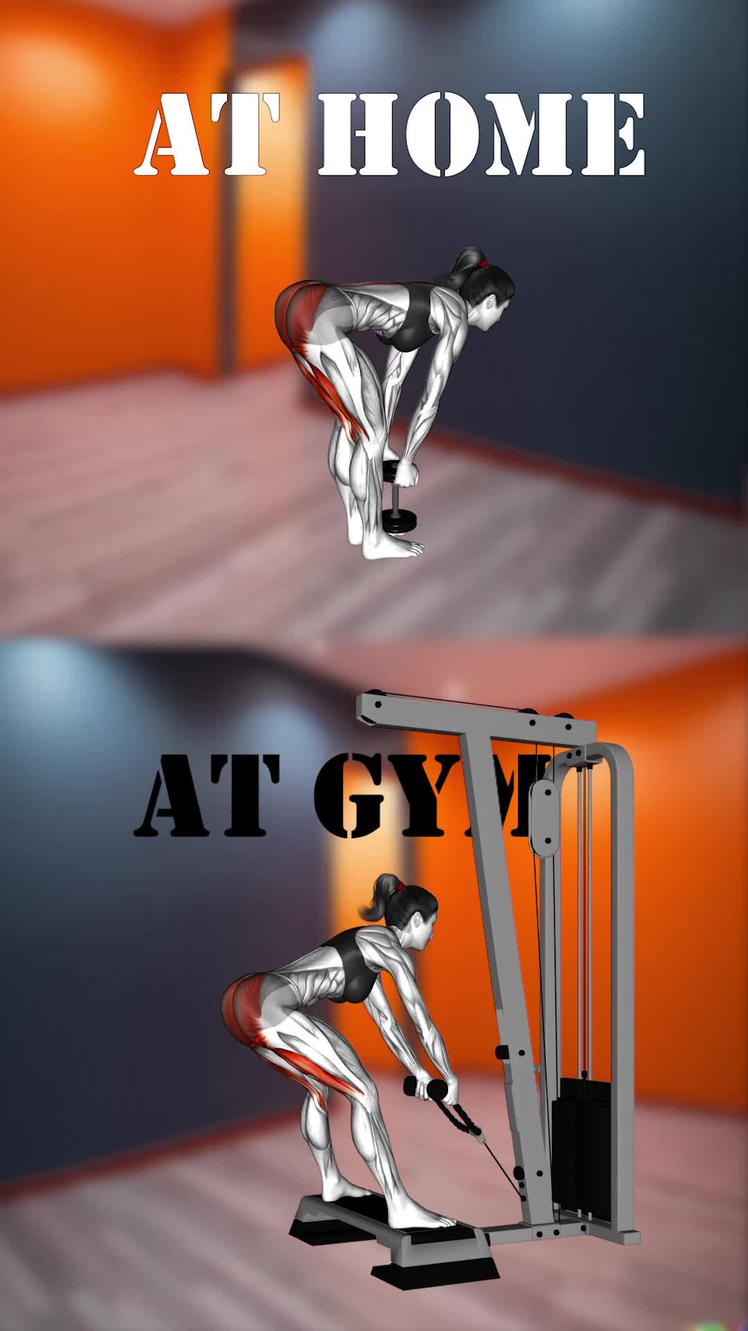 AT HOME AT GYM