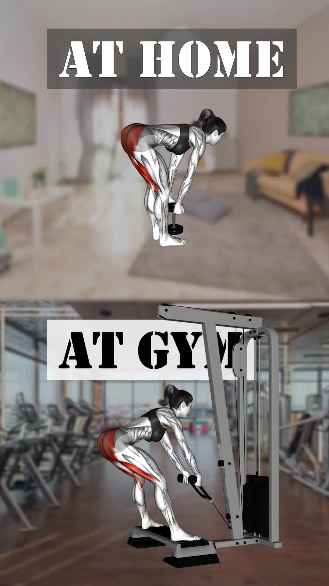 AT HOME AT GYM