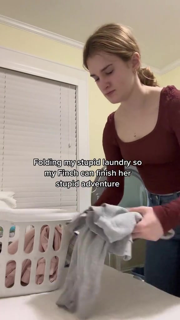 Folding my stupid laundry so my Finch can finish her stupid adventure