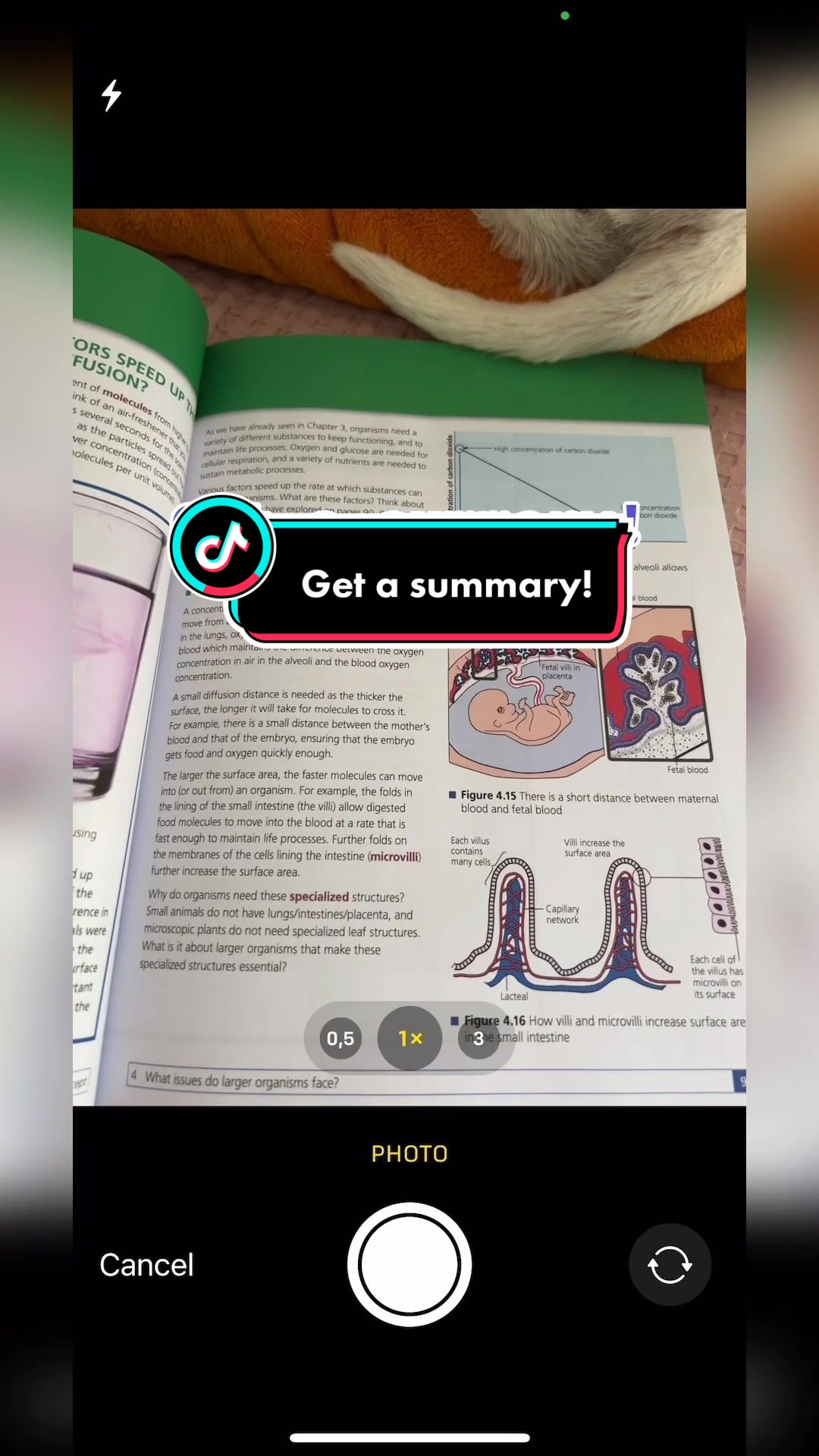 Get a summary!