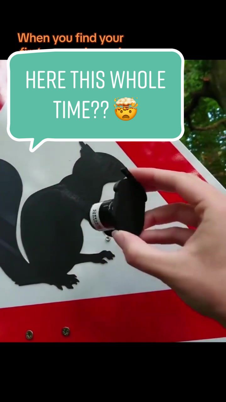HERE THIS WHOLE TIME?? π±