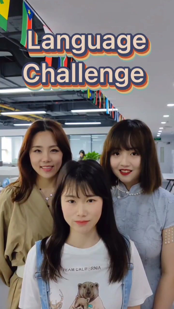 Language Challenge