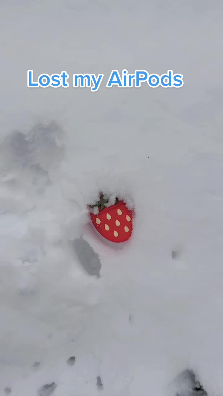 Lost my AirPods