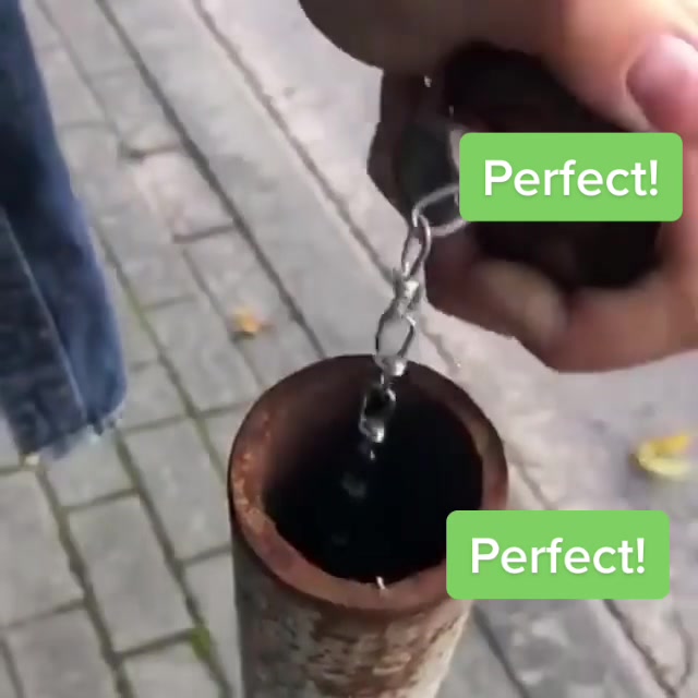 Perfect! Perfect!