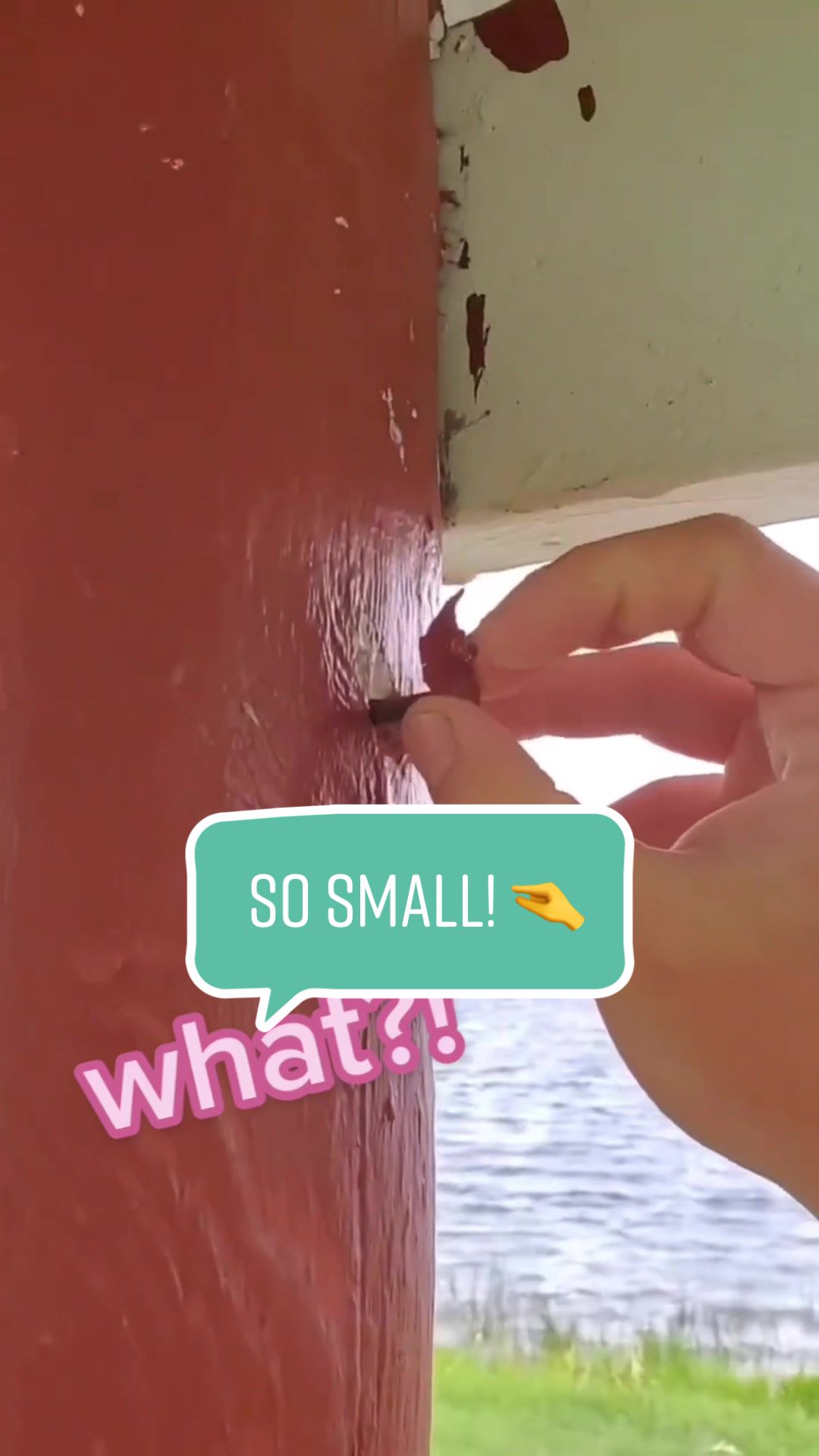 SO SMALL!