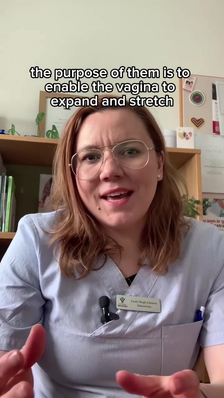 the purpose of them is to enable the vagina to expand and stretch