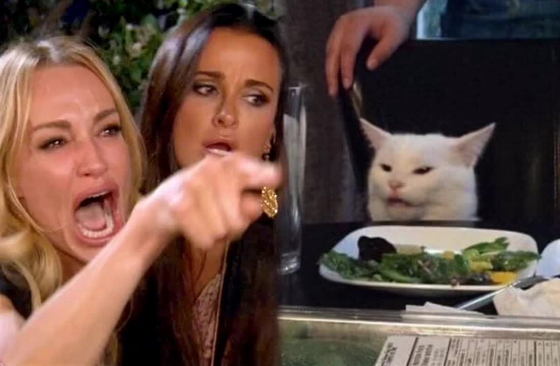 The text in the image reads: "Woman Yelling at Cat."