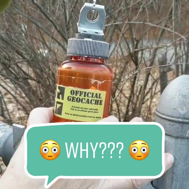 WHY???