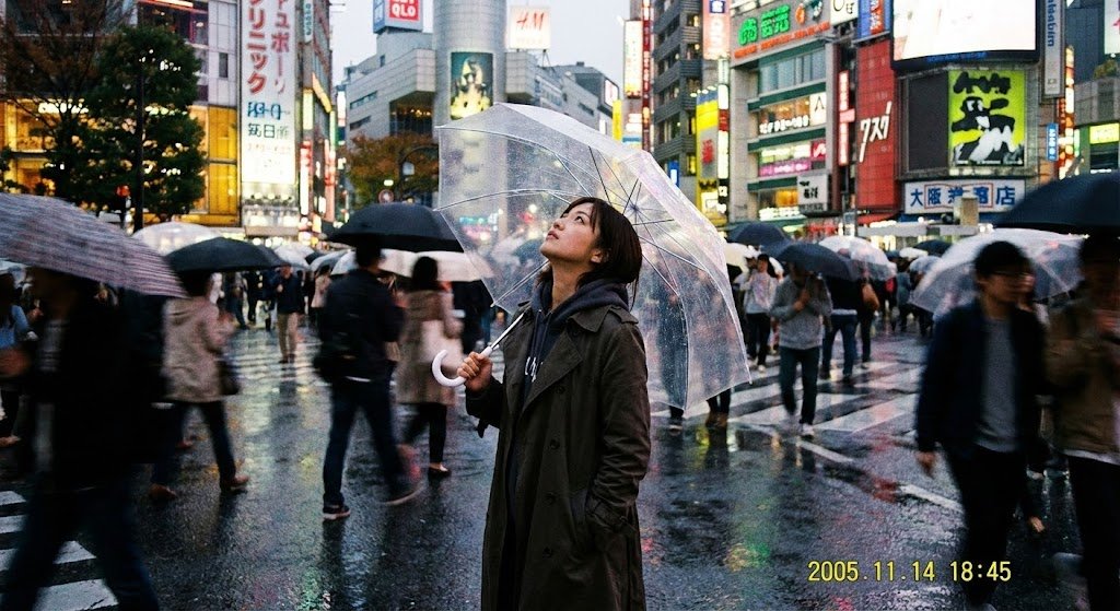 Tokyo Street Crossing