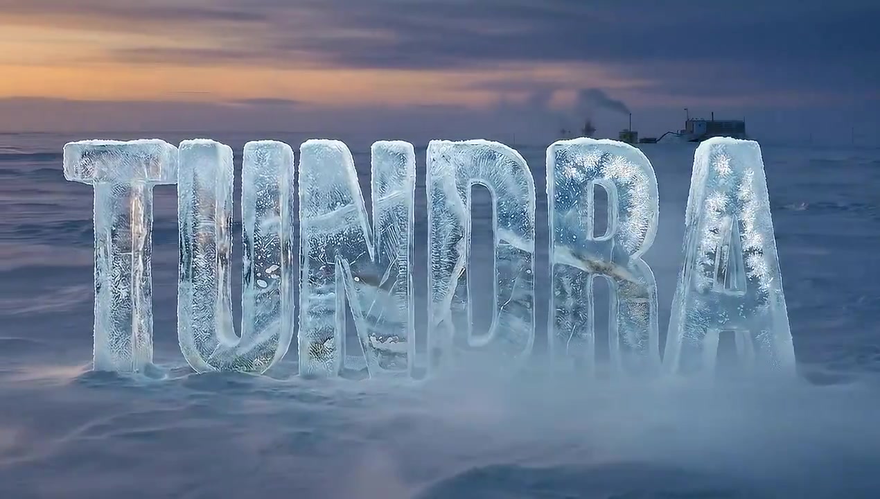 Frozen Dawn: The Tundra Animation