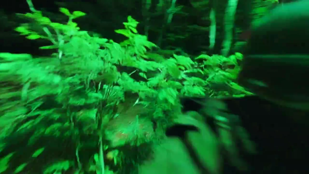 Hyperspeed FPV: Covert Military Forest Operation