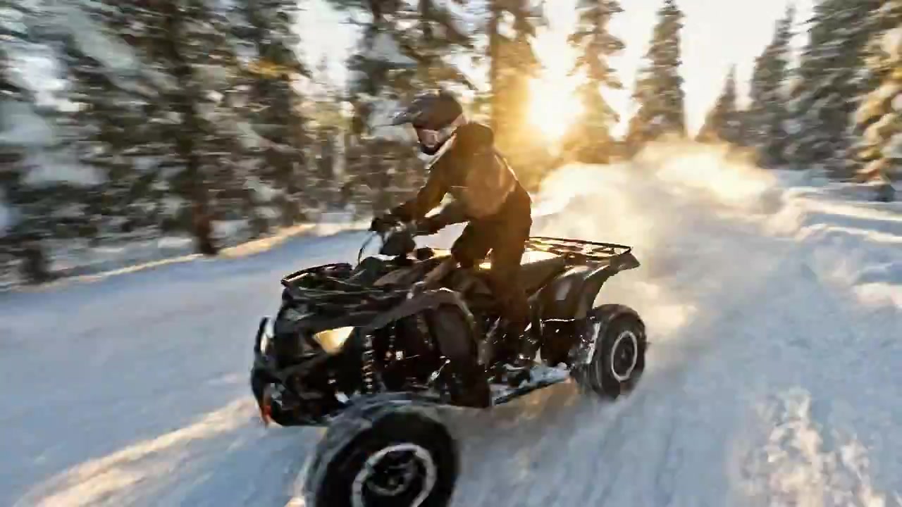 Quad Bike Thrills: Snowy Forest Adventures