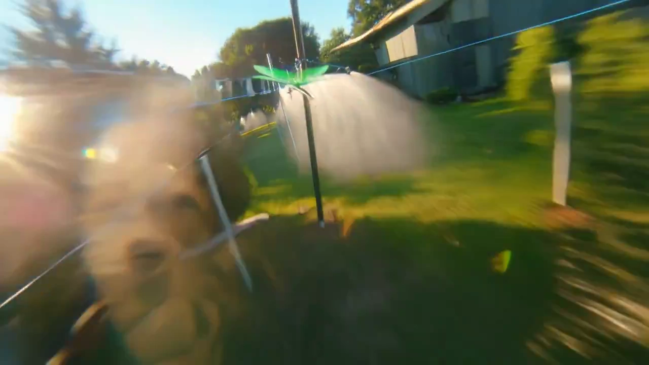 What if you could chase a dragonfly at breakneck speed?